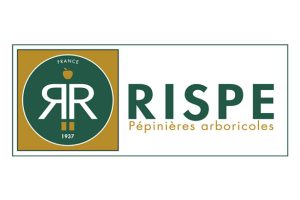 rispe